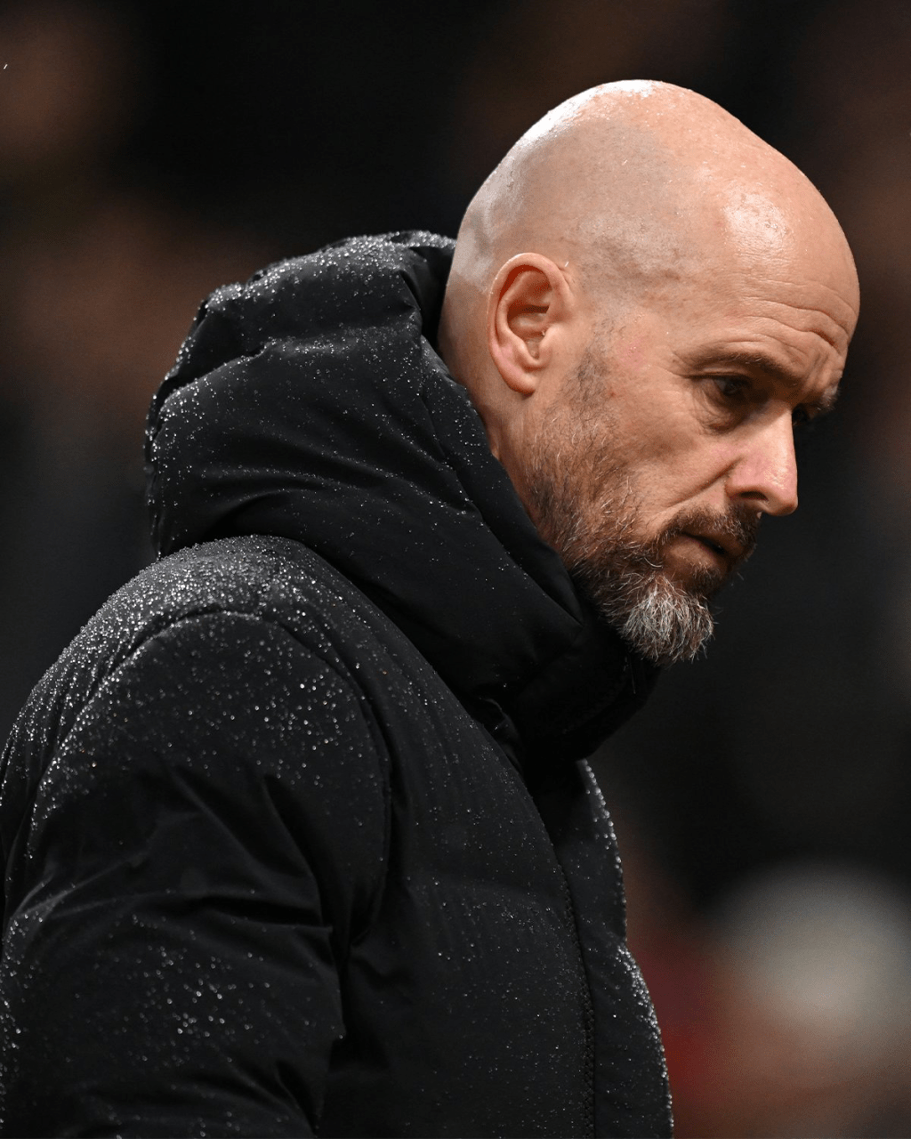 Can it get any&nbsp;lower?