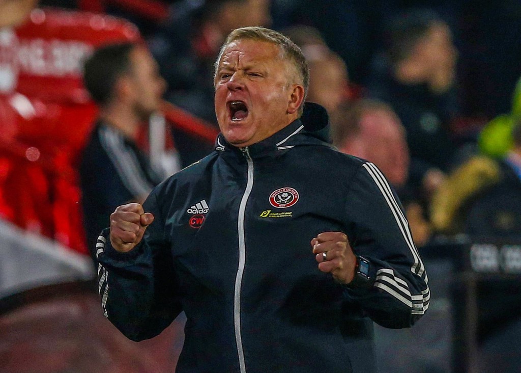 Wilder appointed as new Sheffield United&nbsp;manager