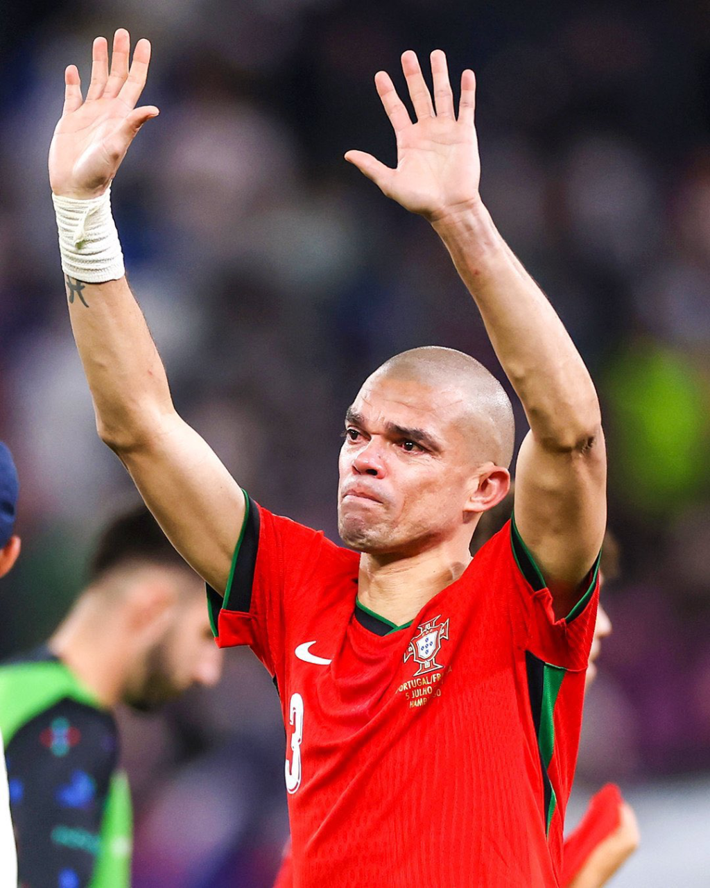 Pepe retires from international&nbsp;football