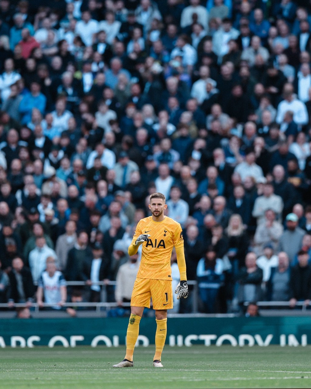 Vicario undergoes surgery