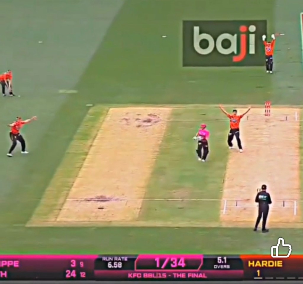 Scorchers win BBL after beating Sydney Sixers&nbsp;again!